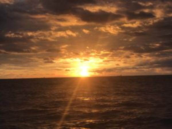 勝浦でイカ釣り？？？